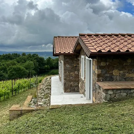 New! Immersed In A Vineyard Holiday home Gradoli